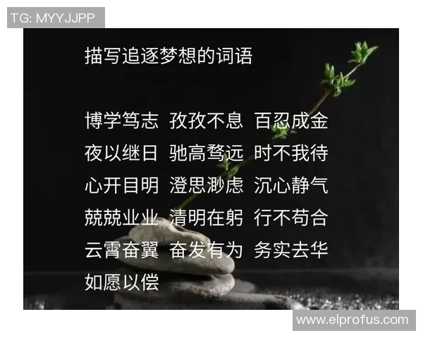 张昊的成长之路与梦想追逐：从青涩少年到职场精英的蜕变故事